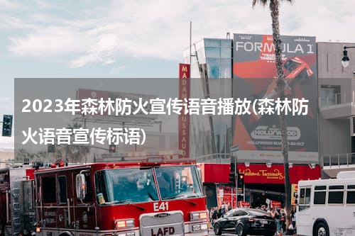 2023年森林防火宣传语音播放(森林防火语音宣传标语)