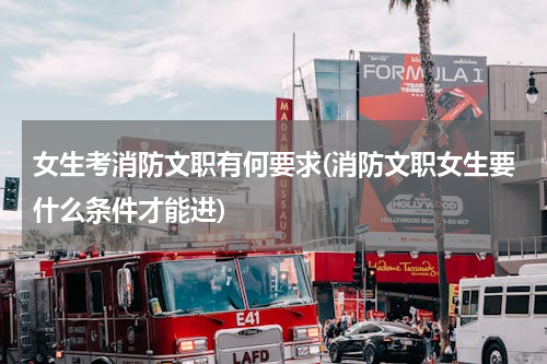 女生考消防文职有何要求(消防文职女生要什么条件才能进)