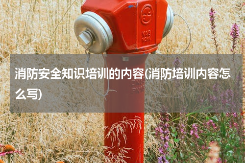 消防安全知识培训的内容(消防培训内容怎么写)