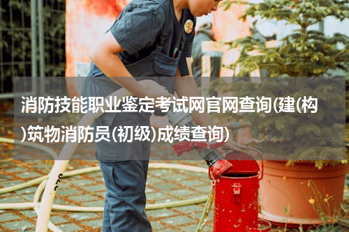 消防技能职业鉴定考试网官网查询(建(构)筑物消防员(初级)成绩查询)