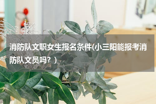 消防队文职女生报名条件(小三阳能报考消防队文员吗？)